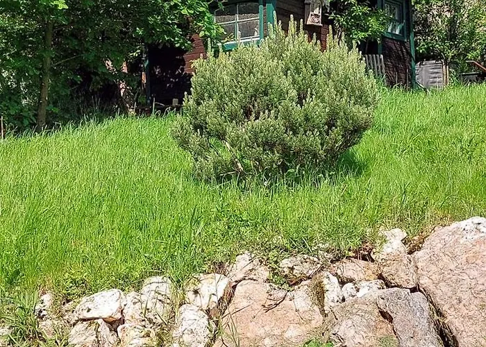 Huettenflair-Mosel Ferienwohnung