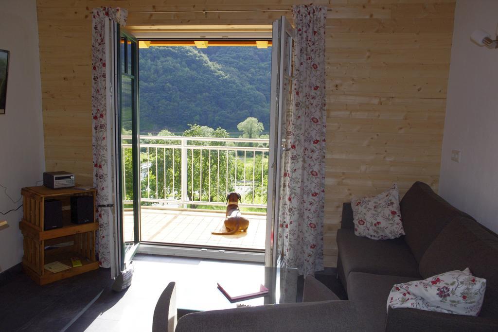 Apartment Huettenflair-mosel *
